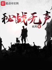 秘战无声完整版