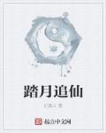 踏月寻梅是什么意思