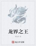 龙之界点6