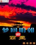 梦回明朝作文600字