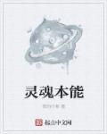 灵魂能量是什么