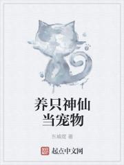 哪个神仙的宠物是猫