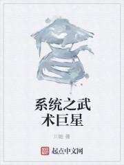 系统武学流