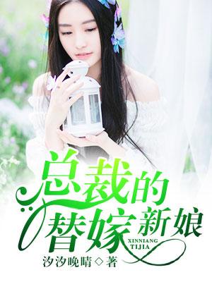 总裁的替嫁新娘李哲宇