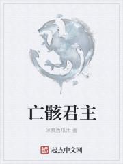 亡骸君主1-100集大结局