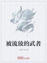 被流放的将军