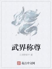 武尊是什么级别