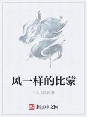 像风一样的什么