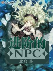 进阶的npc