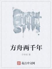 方舟买了后为什么有两个