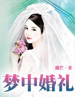 梦中的婚礼吉他曲谱