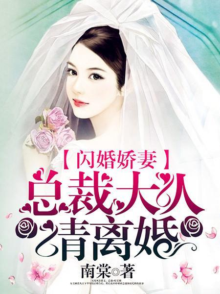 闪婚娇妻总裁大人请离婚笔趣阁