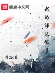 我的师父很多顶点