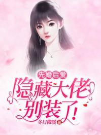 先婚后爱陆总的隐婚娇妻