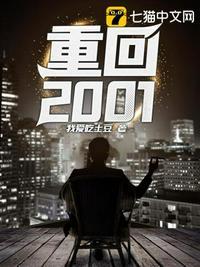 网游传奇之重回2001