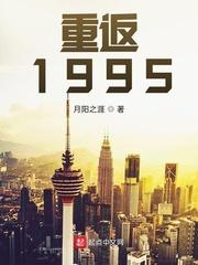 重返1995月阳之涯无防盗