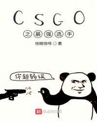 csgo之最强选手txt精修