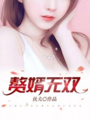 无双赘婿全集