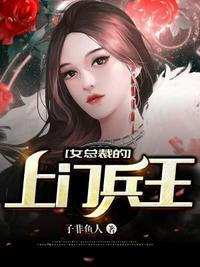 女总裁的上门女婿秦郎