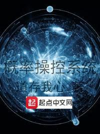 概率操控系统道存我心