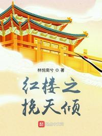 红楼之挽天倾笔墨文学