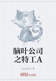 脑叶公司的a