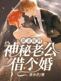 神秘老公借个婚同房