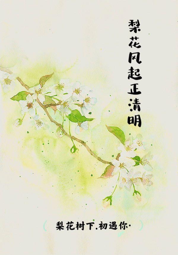 又是一年春草绿梨花风起正清明