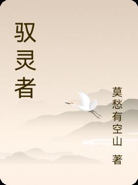 驭灵主免费阅读