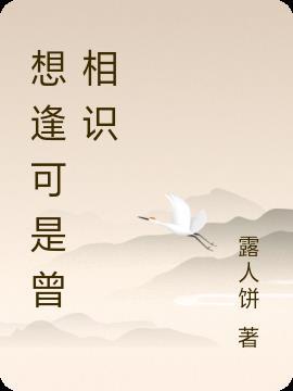 相逢可是曾相识是什么歌