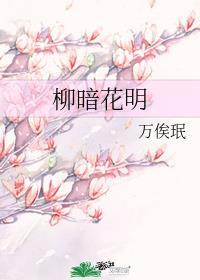 柳暗花明又一村全诗内容