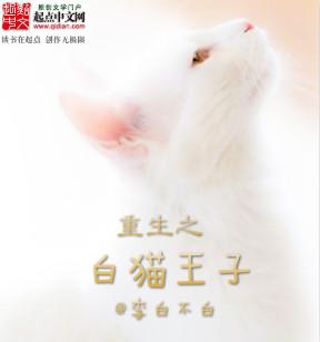 黑猫重生和白猫的故事