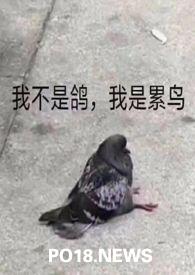 活化石形容人是什么意思