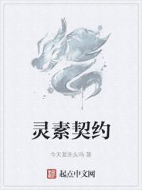 启灵契约