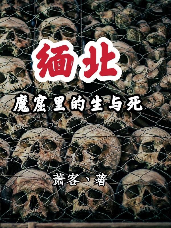 缅北魔窟里的生与死吉娜