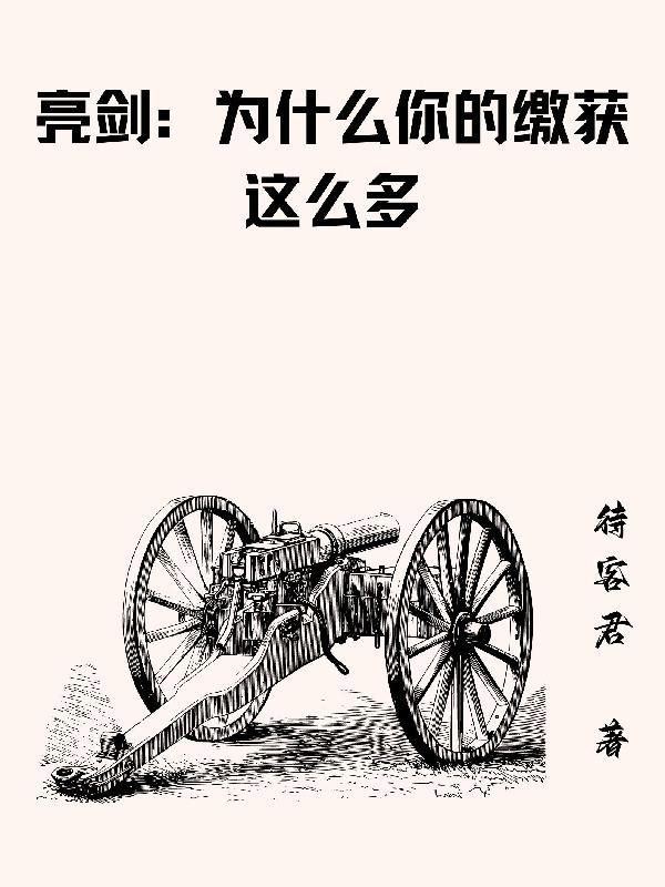 亮剑我给云龙当领导作者待客君著