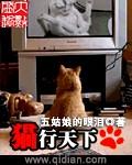 猫行天下动漫