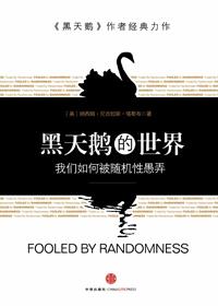 黑天鹅的世界pdf