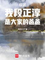 综武我段正淳