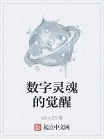 灵魂觉醒什么意思