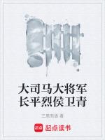 大司马大将军卫青到是什么歌