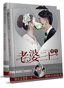 重生之老婆三十二文婷心