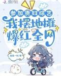 演唱会贵妇团是什么