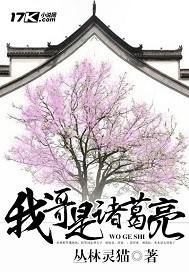 元哥诸葛亮cp文