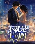 不就是上司吗短剧完整版