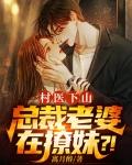 师娘我下山找总裁老婆去了