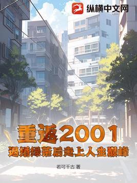 重返2001免费