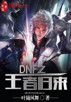 DNF之王者归来txt