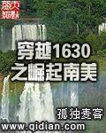 穿越1630之崛起南美txt精校