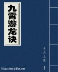 九霄真龙诀免费阅读